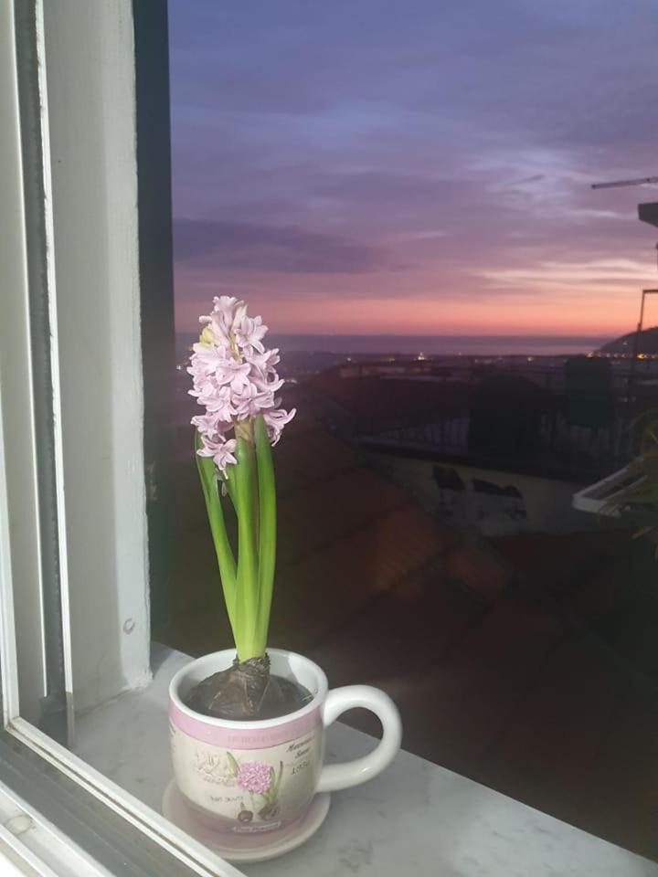 Appartamento Bellavista Кастельнуово-Маґра Екстер'єр фото
